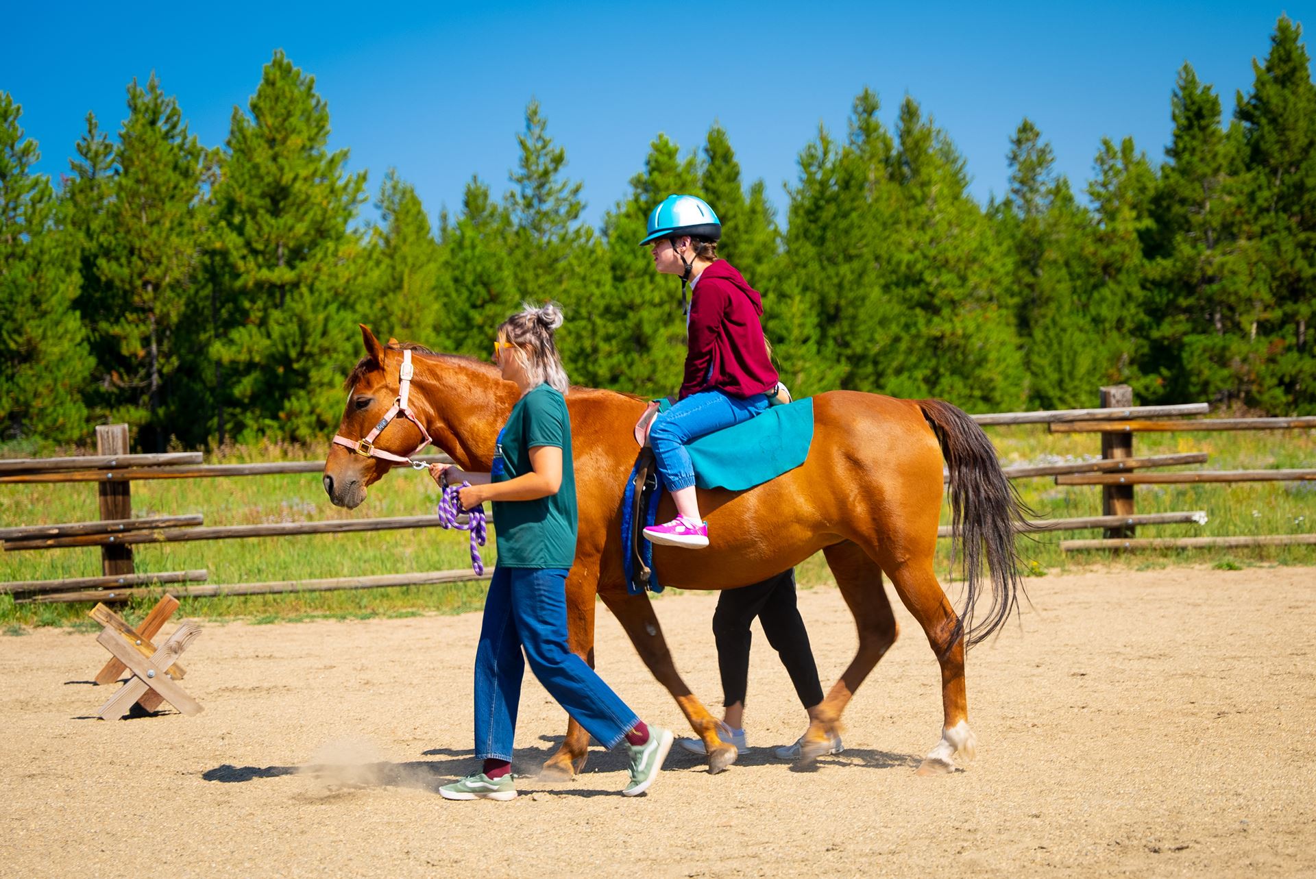 Picture for category Therapeutic Horseback Riding