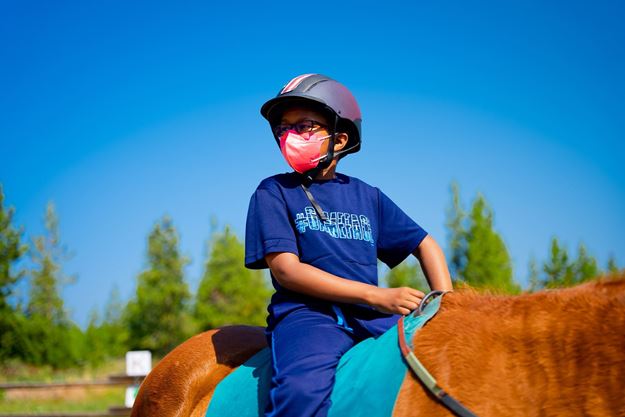 Picture of Therapeutic Horseback Riding - Horse Lesson